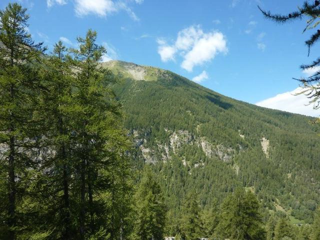 Appartement Balcon Des Airelles 500 - Les Orres