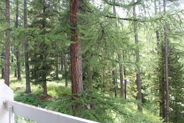 Appartement Chambeyron VRS810-0508 - Vars