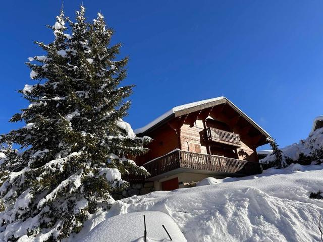 Chalet Soleil Riant - Les Carroz d'Araches