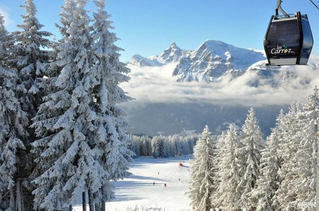 Appartements Front De Neige - Les Carroz d'Araches
