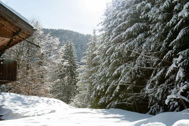 Appartements Front De Neige - Les Carroz d'Araches