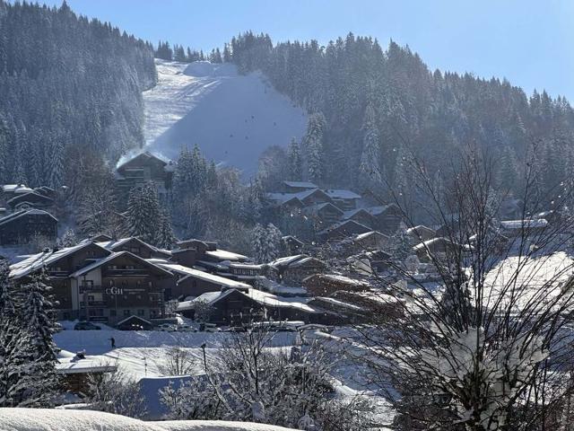 Appartements Front De Neige - Les Carroz d'Araches