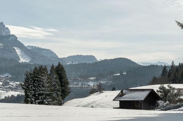 Appartements Les Alpages - Les Carroz d'Araches