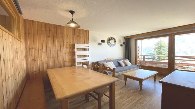 Appartement Dame Blanche DBA116 - Puy Saint Vincent