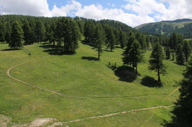 Appartement Chabrieres Ii RSL110-61II - Risoul