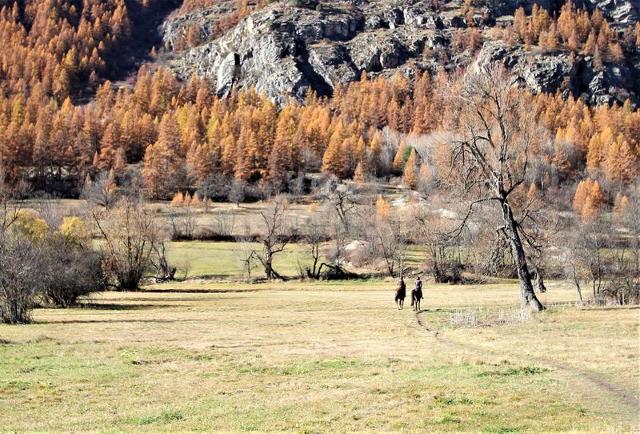 Appartement Jardins Alpins LSA310-A104 - Serre Chevalier 1400 - Villeneuve