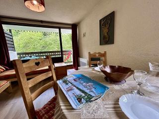 Appartement Izoard LSA300-0002 - Serre Chevalier 1400 - Villeneuve
