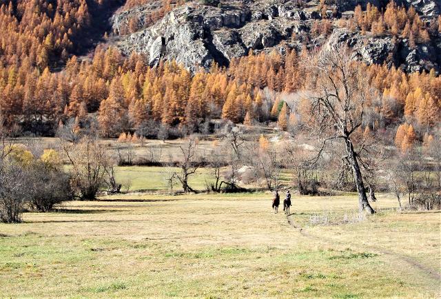 Appartement Jardins Alpins LSA310-E006 - Serre Chevalier 1400 - Villeneuve