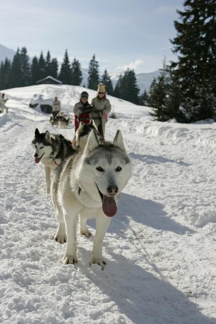 Appartements MA002 2 Pièces 4 Pers centre Carroz - Les Carroz d'Araches