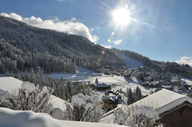Appartements AM113 - Studio 4 Pers centre des Carroz - Les Carroz d'Araches