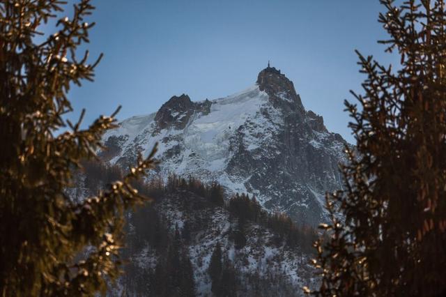 Appartements Chamonix Sud Bat.G Grepon - Chamonix Sud