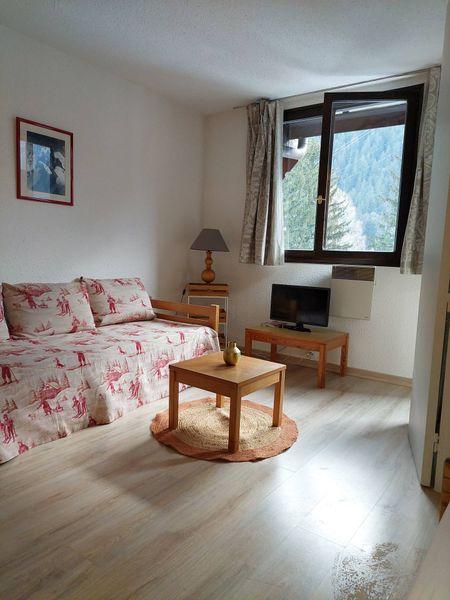 Appartements Chamonix Sud Bat J.Jonquille - Chamonix Sud