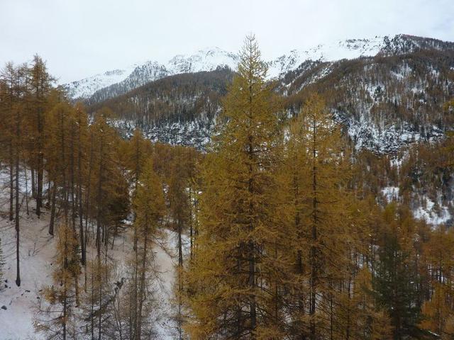 Appartement Les Flocons 467 - Les Orres