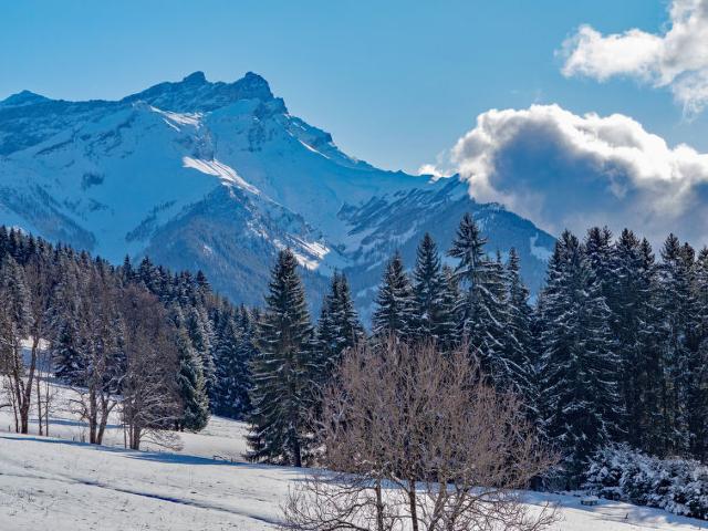 Chalet Le Marignac - Villars - sur - Ollons