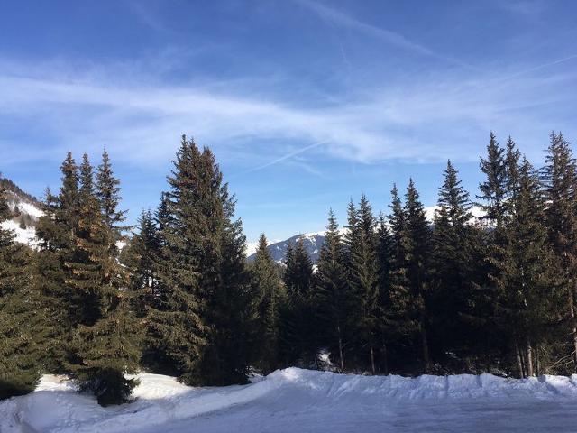 Appartements Jardin Alpin - Courchevel 1850