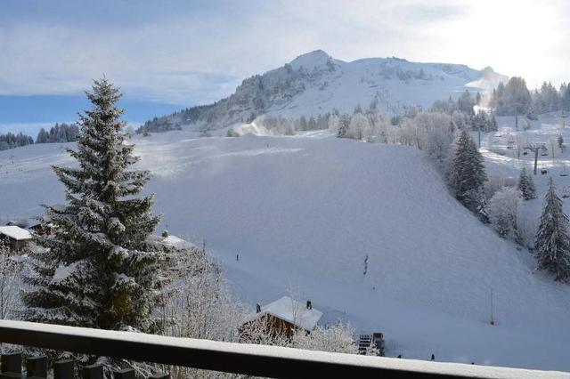Appartement Planay CH320-1C - Le Grand Bornand