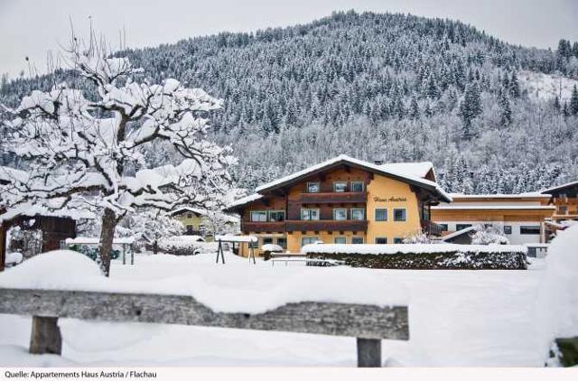 Appartements Haus Austria - Flachau