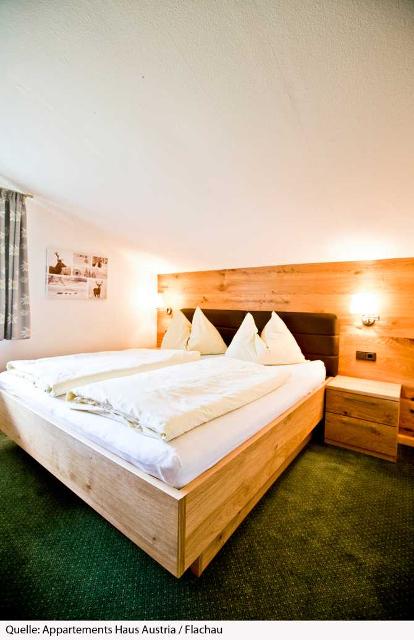 Appartements Haus Austria - Flachau