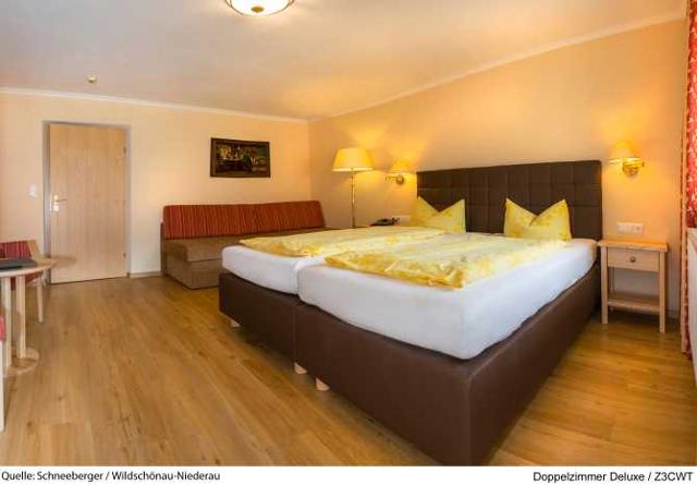 Hotel Schneeberger ***s - Niederau