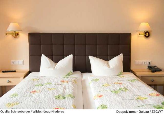 Hotel Schneeberger ***s - Niederau