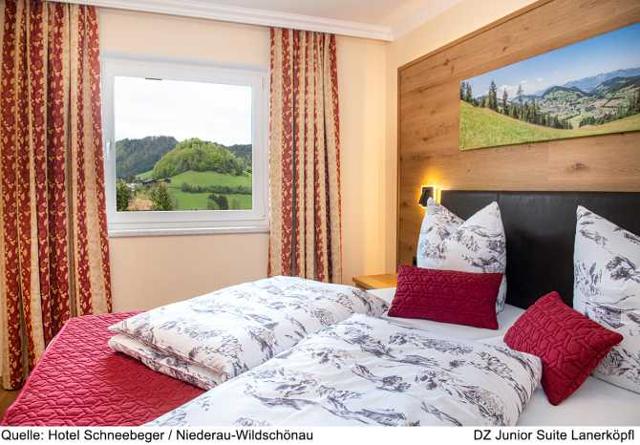 Hotel Schneeberger ***s - Niederau