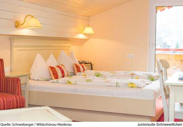 Hotel Schneeberger ***s - Niederau