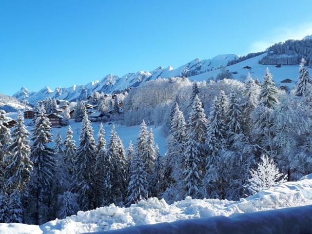 3 pièces ski au pied - La Clusaz