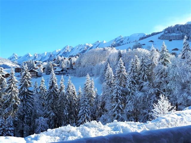 3 pièces ski au pied - La Clusaz