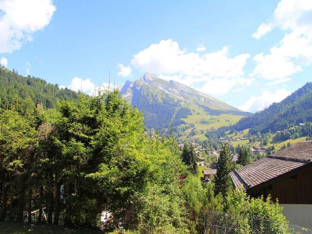 3 pièces sur les pistes du crêt du Merle (PRO126) - La Clusaz