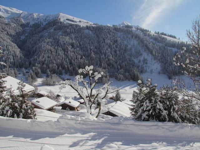 2 Pièces cabine sans prétention (BEB122) - La Clusaz
