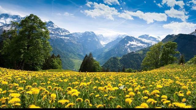 Flat Balcons G 045 - PARC NAT. VANOISE appart. 8 pers. - Val Cenis Termignon