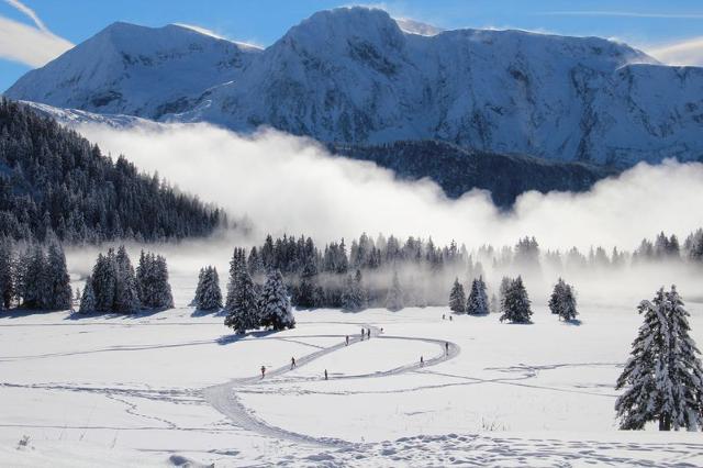 Flat Chartreuse 1 036-FAMILLE & MONTAGNE appart. 6 pers - Chamrousse