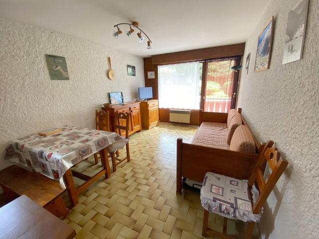 grand studio proche Bossonnet (SVY156) - La Clusaz