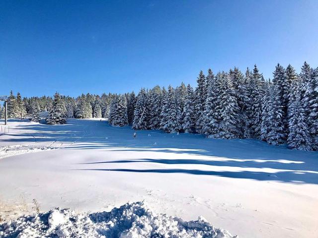 Studio cabine au pied des pistes - Chamrousse