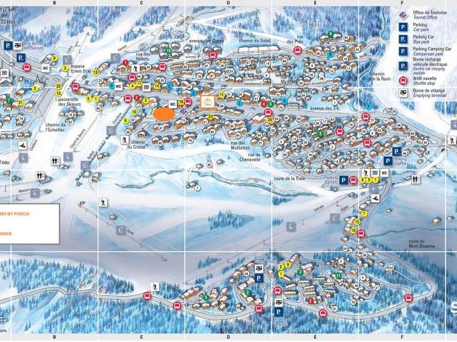 studio 2 coins montagne + mezz 51 m² - Les Saisies