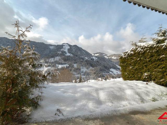 Petit 3 pièces entièrement rénové (BUS128) - La Clusaz