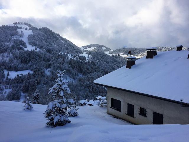 Petit 3 pièces entièrement rénové (BUS128) - La Clusaz