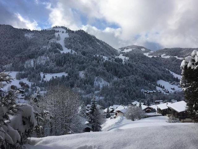 Petit 3 pièces entièrement rénové (BUS128) - La Clusaz