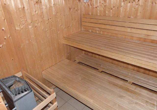 Résidence Le Bois de la Reine 3* - Super-Besse