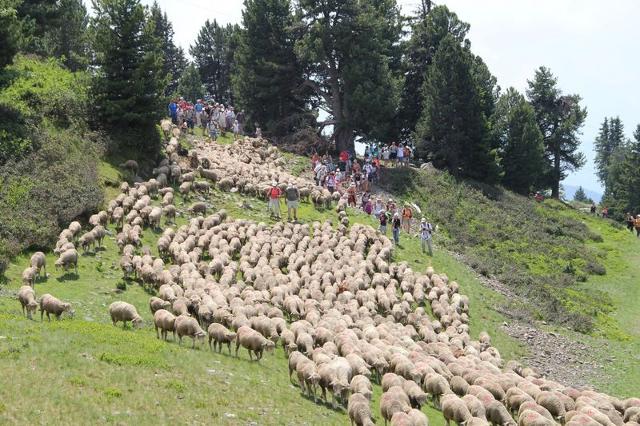 Flat Vercors 1 035-FAMILLE & MONTAGNE appart. 6 pers - Chamrousse