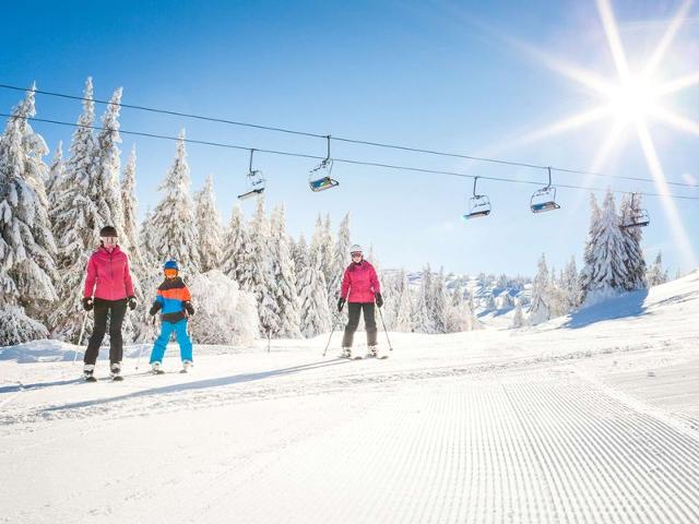 2 pièces alcove 36 m² orienté SUD - Les Saisies