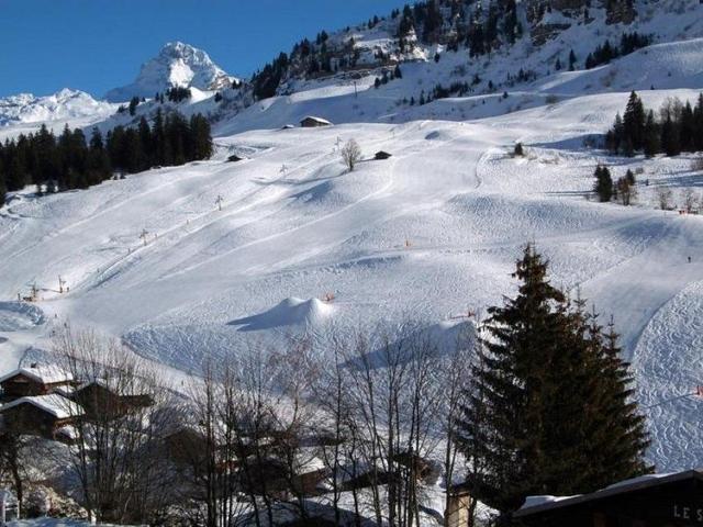Agréable studio + coin montagne pour 4 personnes - Le Grand Bornand