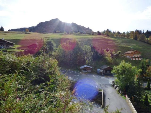 Super T2 + coin montagne de 43 m² - idéal pour 6 personnes. - Le Grand Bornand