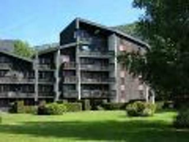 résidence joncioles les espaces - Samoëns