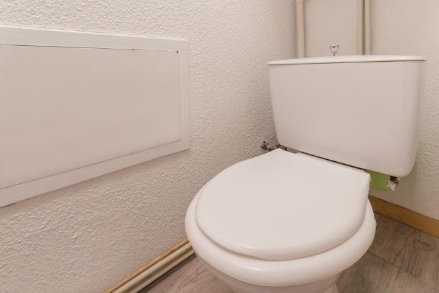Flats LE CHANTELOUP - Plagne Montalbert