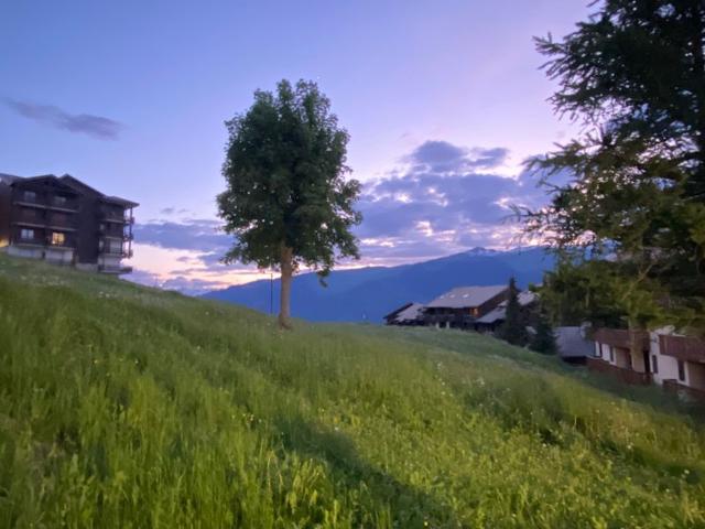 Flats LES CHARMETTES - Plagne Montalbert