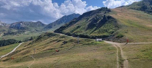 Flats CHAMOIS - Plagne - Aime 2000