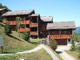 travelski home choice - LES CHALETS DU PLANAY - Plagne Montalbert