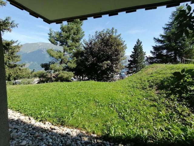Flats LES CHOUCAS - Plagne Montalbert