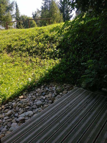 Flats LES CHOUCAS - Plagne Montalbert